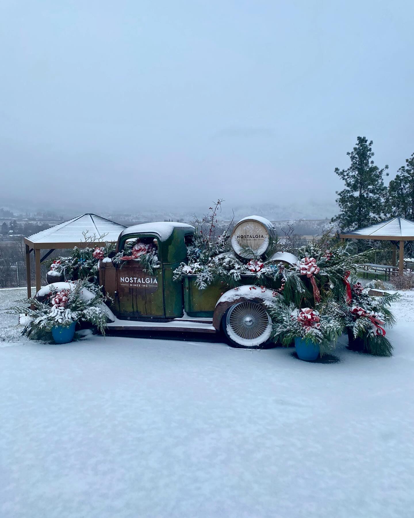 Nostalgia Winery - Oliver, BC